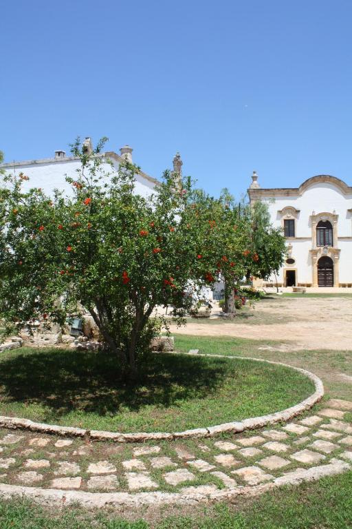 Masseria Maccarone Fasano Ngoại thất bức ảnh