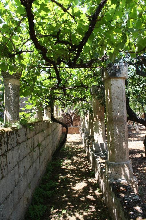 Masseria Maccarone Fasano Ngoại thất bức ảnh