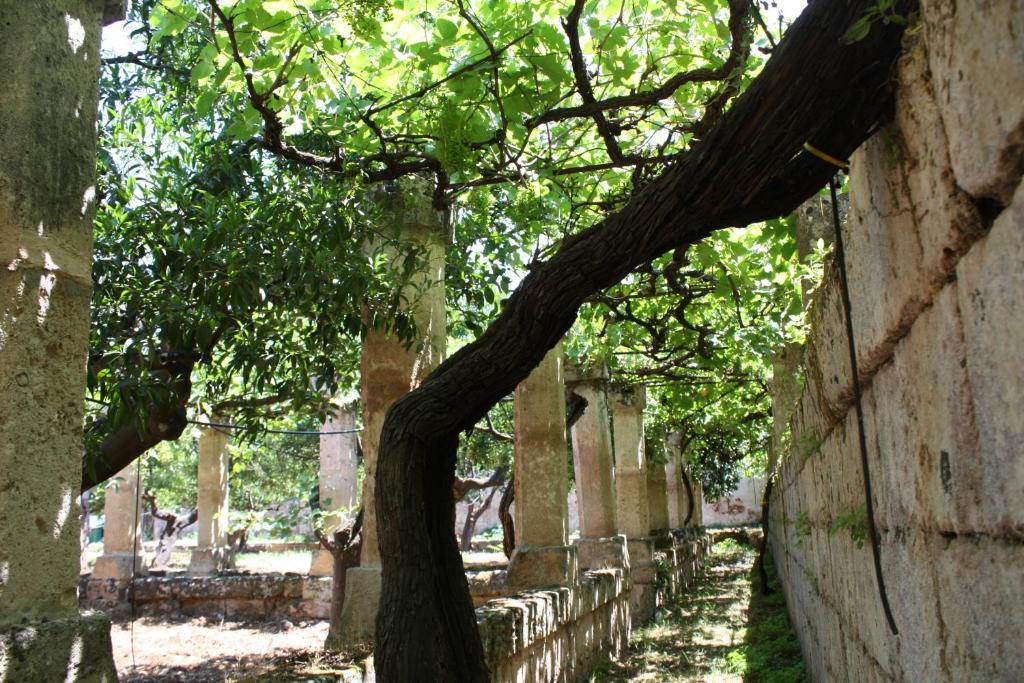 Masseria Maccarone Fasano Ngoại thất bức ảnh